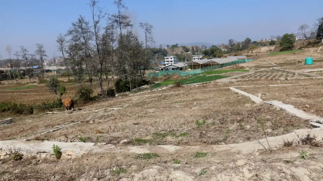 Chitapol, Ward No. 10, Suryabinayak Municipality, Bhaktapur, Bagmati Nepal, ,Land,For sale - Properties,8948