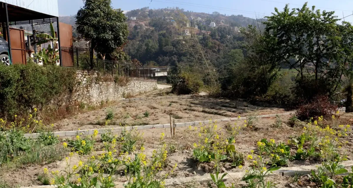 Gagalfedi Indrayani, Ward No. 9, Shankharapur Nagarpalika, Kathmandu, Bagmati Nepal, ,Land,For sale - Properties,8951