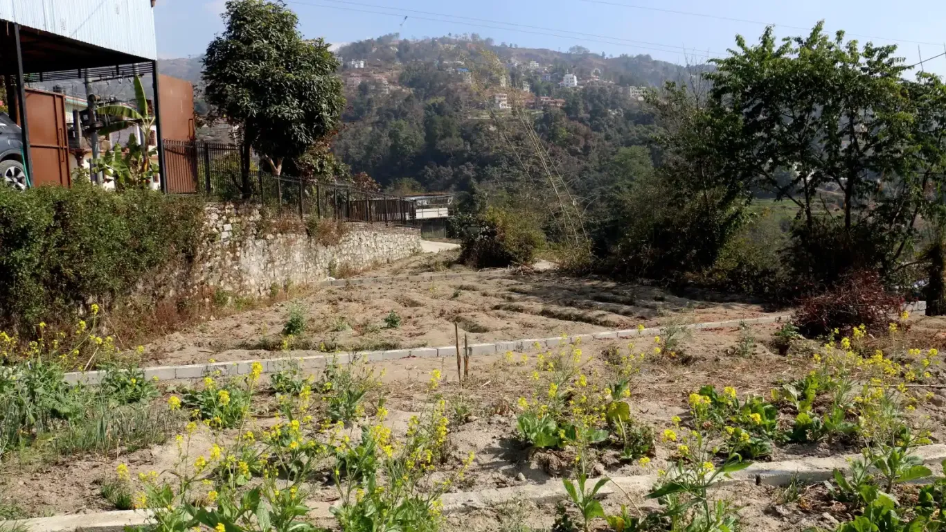 Gagalfedi Indrayani, Ward No. 9, Shankharapur Nagarpalika, Kathmandu, Bagmati Nepal, ,Land,For sale - Properties,8951