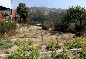 Gagalfedi Indrayani, Ward No. 9, Shankharapur Nagarpalika, Kathmandu, Bagmati Nepal, ,Land,For sale - Properties,8951