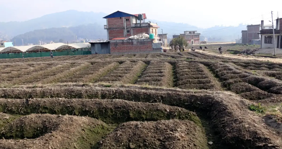 Bhandari Gaun, Ward No.9, Panauti municipality, Kavrepalanchowk, Bagmati Nepal, ,Land,For sale - Properties,8955