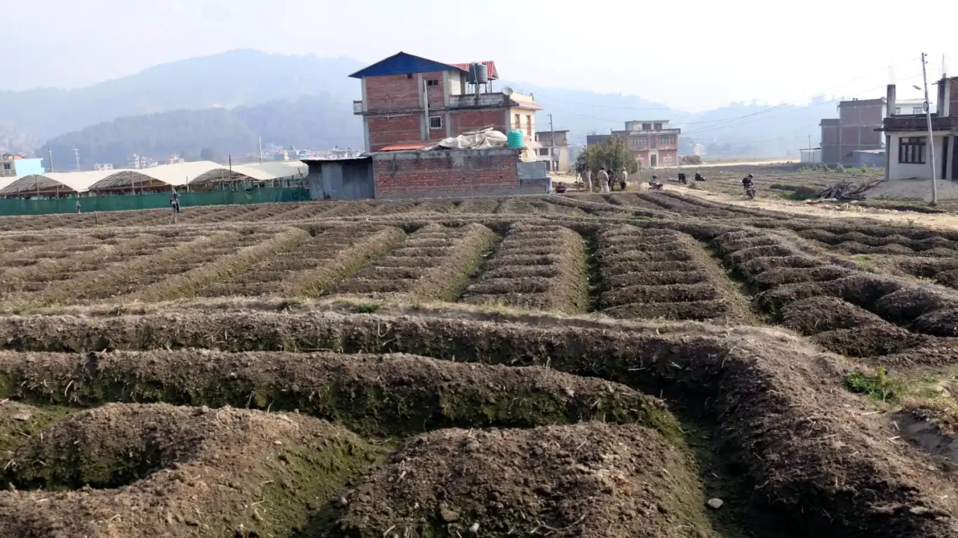 Bhandari Gaun, Ward No.9, Panauti municipality, Kavrepalanchowk, Bagmati Nepal, ,Land,For sale - Properties,8955