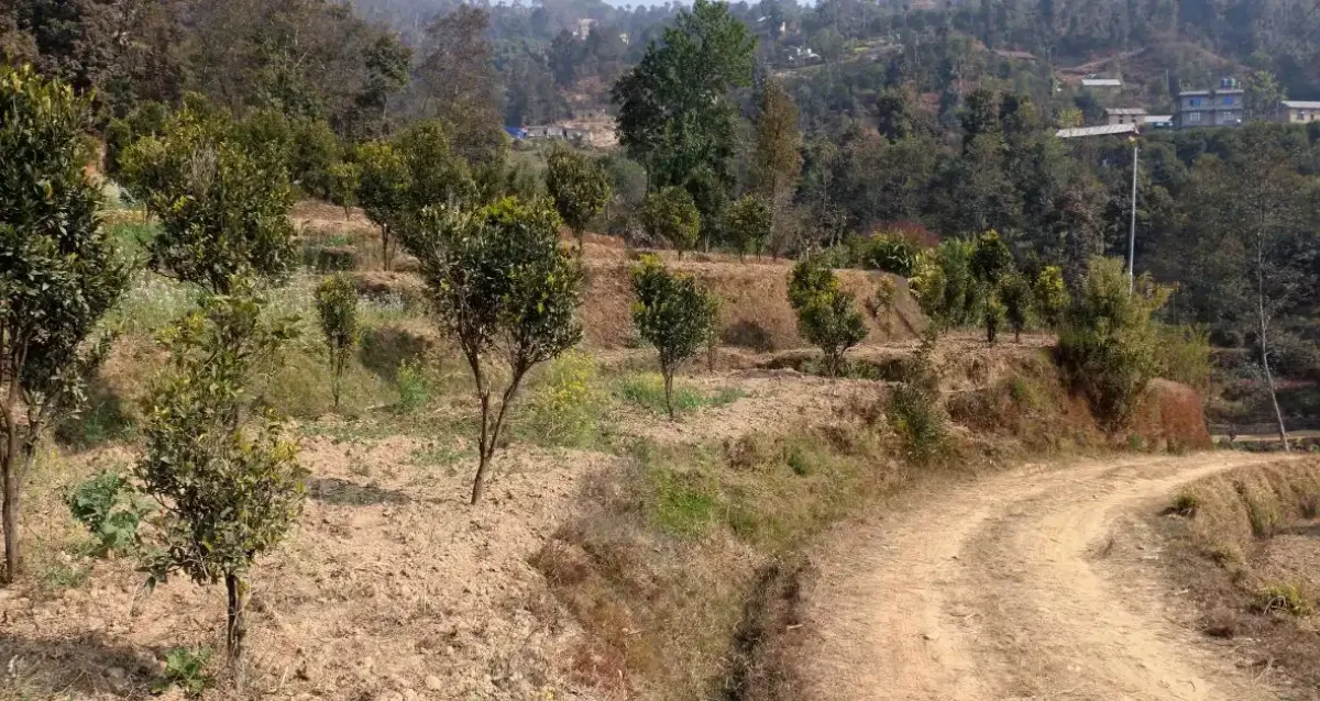 Sunthan, Ward No.9, Panauti municipality, Kavrepalanchowk, Bagmati Nepal, ,Land,For sale - Properties,8958