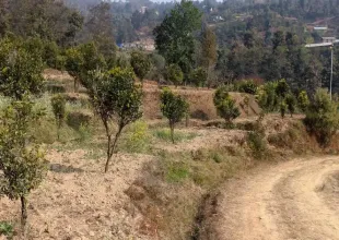 Sunthan, Ward No.9, Panauti municipality, Kavrepalanchowk, Bagmati Nepal, ,Land,For sale - Properties,8958