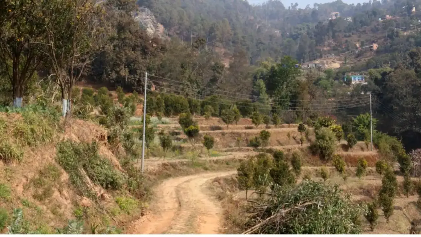 Sunthan, Ward No.9, Panauti municipality, Kavrepalanchowk, Bagmati Nepal, ,Land,For sale - Properties,8958