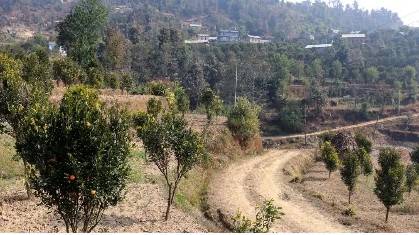 Sunthan, Ward No.9, Panauti municipality, Kavrepalanchowk, Bagmati Nepal, ,Land,For sale - Properties,8958