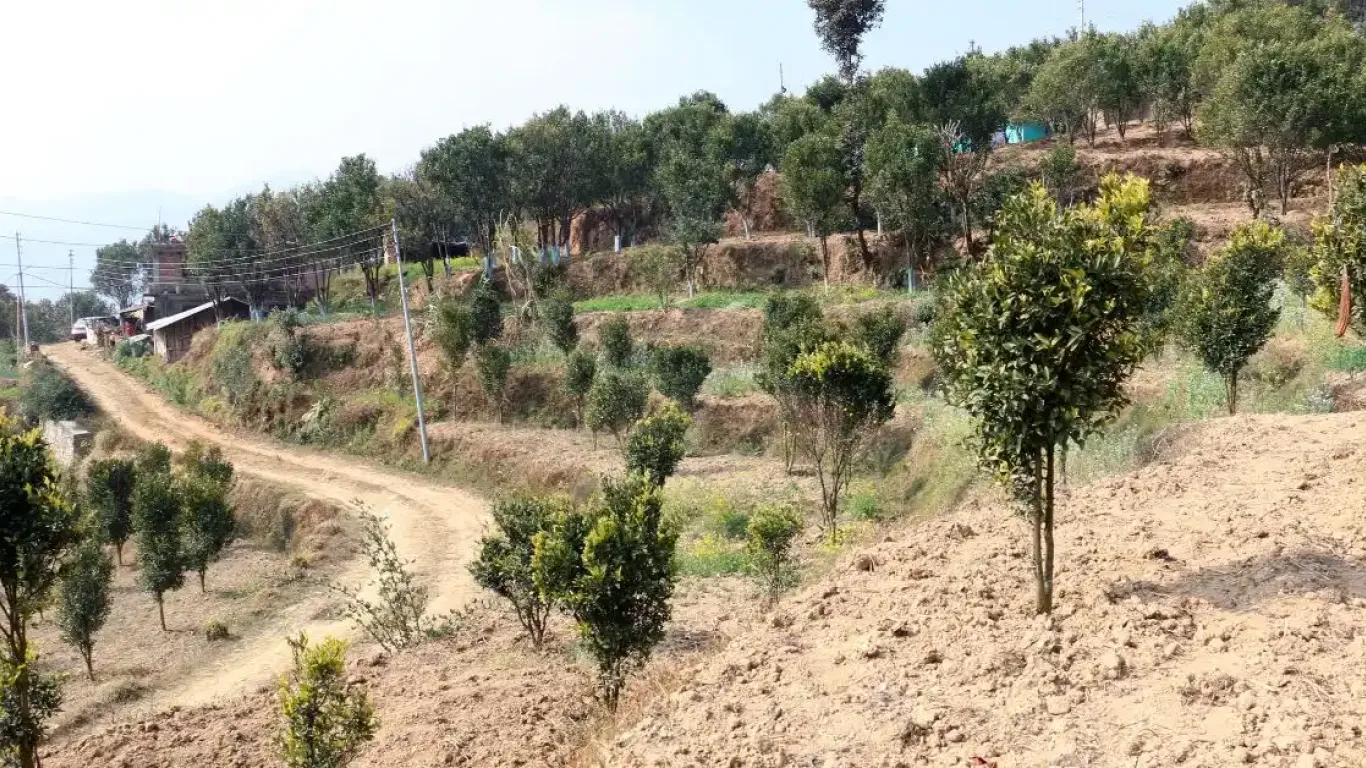 Sunthan, Ward No.9, Panauti municipality, Kavrepalanchowk, Bagmati Nepal, ,Land,For sale - Properties,8958