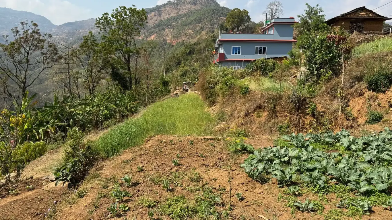 Ratnechaur, Ward No.1, Beni Nagarpalika, Myagdi, Gandaki Pradesh Nepal, ,Land,For sale - Properties,8985