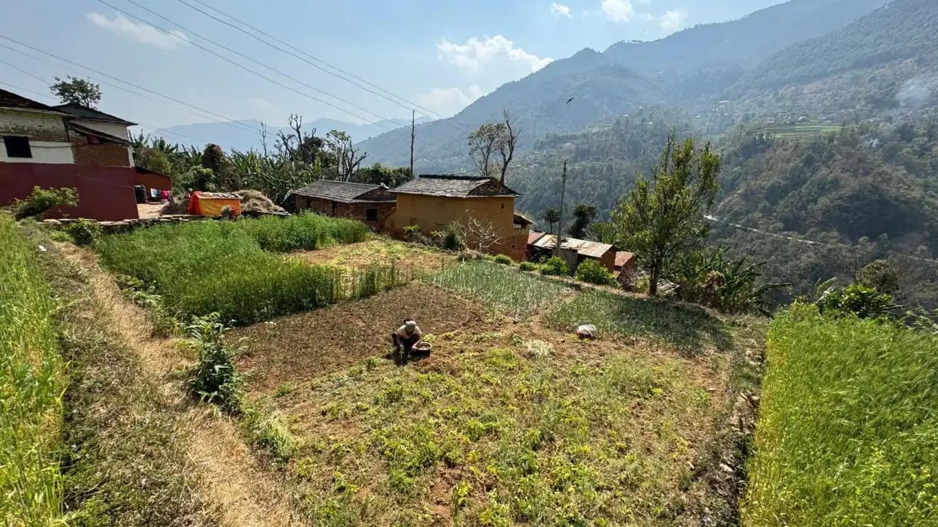 Ratnechaur, Ward No.1, Beni Nagarpalika, Myagdi, Gandaki Pradesh Nepal, ,Land,For sale - Properties,8985