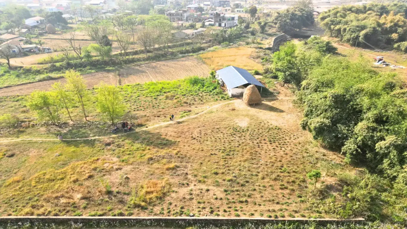 Beldiha, Ward No.13, Gaindakot Municipality, Nawalpur, Gandaki Pradesh Nepal, ,Land,For sale - Properties,8990