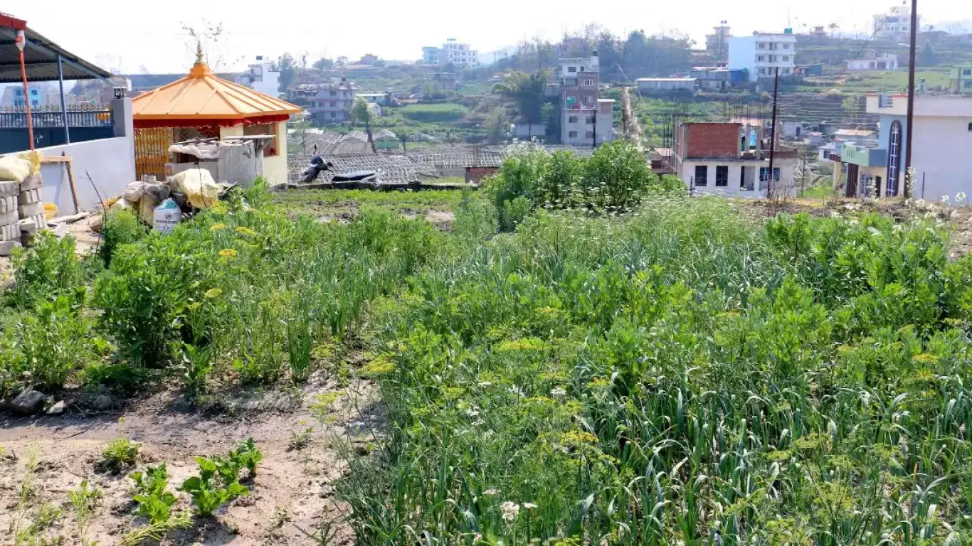 Bista Gaun, Ward No.3, Gokarneshwor Nagarpalika, Kathmandu, Bagmati Nepal, ,Land,For sale - Properties,8992