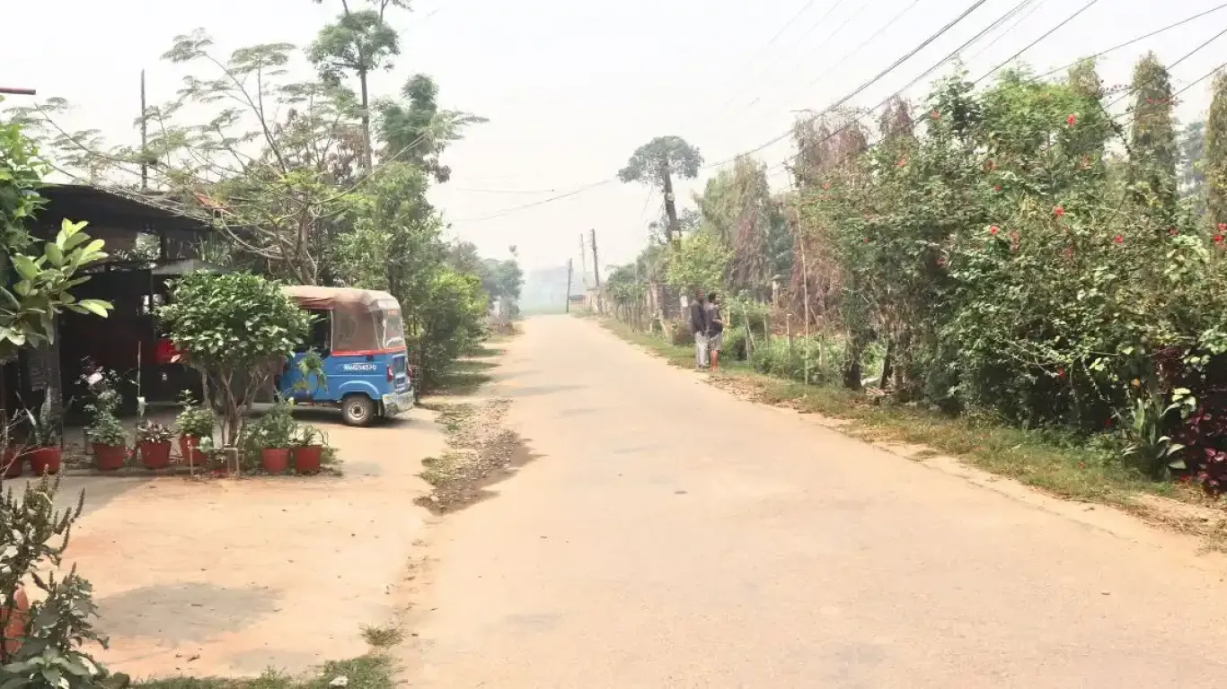 Bachhauli, Sauraha, Ward No. 6, Ratnanagar Municipality, Chitwan, Bagmati Nepal, ,Land,For sale - Properties,9011