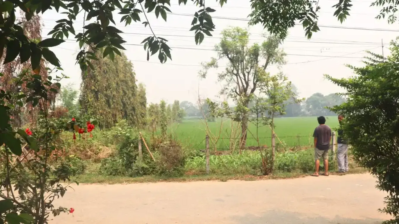 Bachhauli, Sauraha, Ward No. 6, Ratnanagar Municipality, Chitwan, Bagmati Nepal, ,Land,For sale - Properties,9011