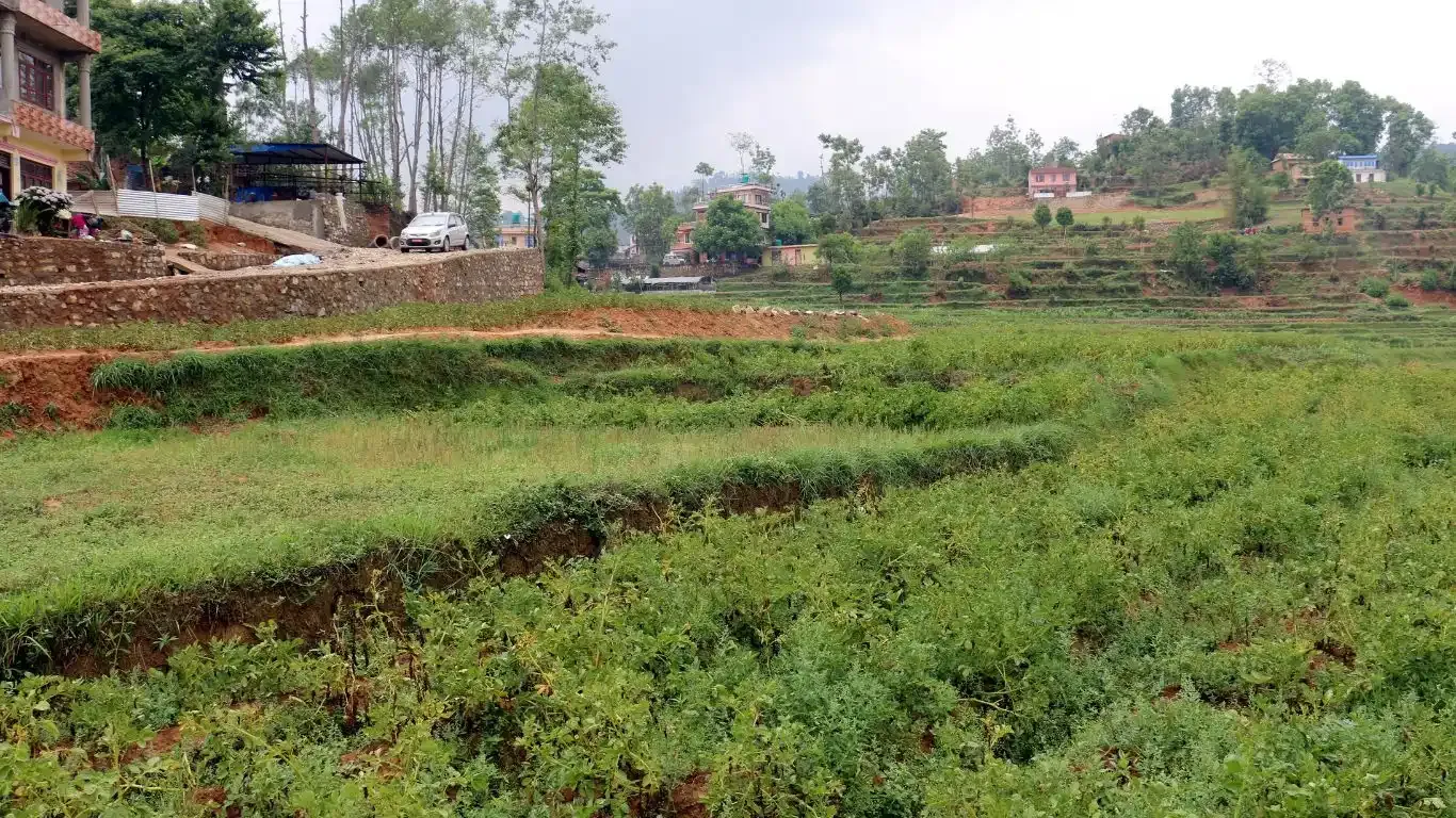 Taukhal, Ward No.4, Panauti municipality, Kavrepalanchowk, Bagmati Nepal, ,Land,For sale - Properties,9029