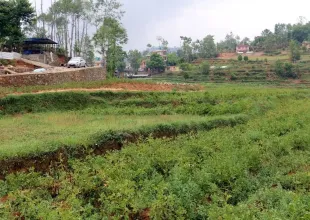 Taukhal, Ward No.4, Panauti municipality, Kavrepalanchowk, Bagmati Nepal, ,Land,For sale - Properties,9029