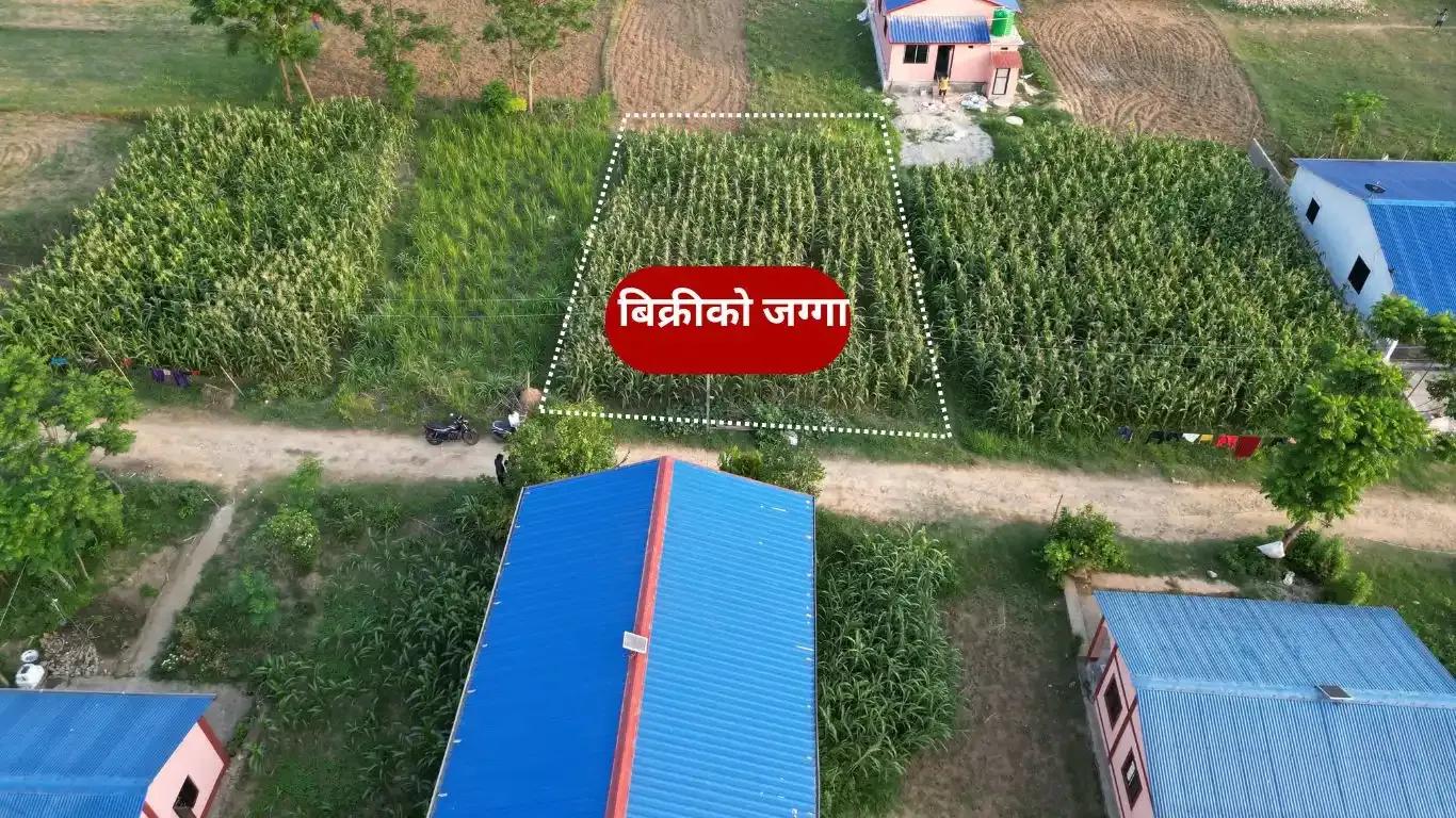 Shashi Sahid Smriti Tole, Ward No. 18, Bharatpur Metropolitan City, Chitwan, Bagmati Nepal, ,Land,For sale - Properties,9038