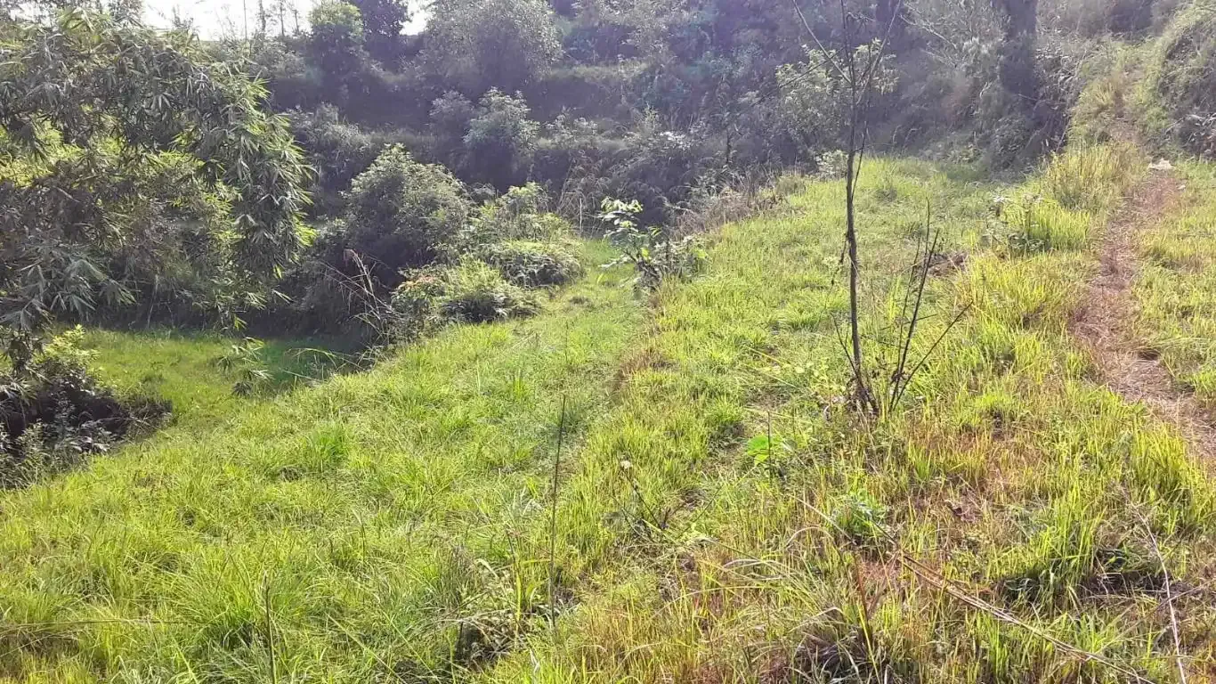 Badare, Ward No. 32, Pokhara Metropolitan City, Kaski, Gandaki Pradesh Nepal, ,Land,For sale - Properties,9041