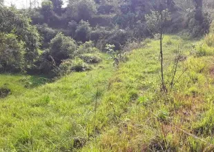 Badare, Ward No. 32, Pokhara Metropolitan City, Kaski, Gandaki Pradesh Nepal, ,Land,For sale - Properties,9041