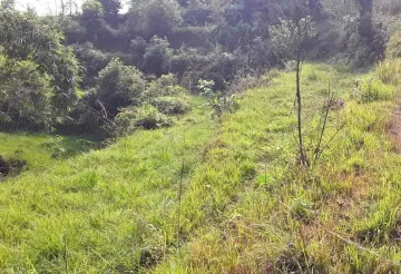 Badare, Ward No. 32, Pokhara Metropolitan City, Kaski, Gandaki Pradesh Nepal, ,Land,For sale - Properties,9041