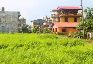 Prembasti, Ward No. 5, Bharatpur Metropolitan City, Chitwan, Bagmati Nepal, ,Land,For sale - Properties,9060