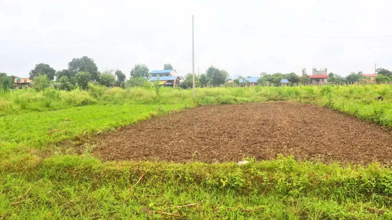 Gorkhali Chowk, Padampur, Ward No. 5, Kalika Municipality, Chitwan, Bagmati Nepal, ,Land,For sale - Properties,9066