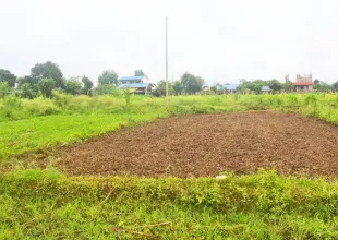 Gorkhali Chowk, Padampur, Ward No. 5, Kalika Municipality, Chitwan, Bagmati Nepal, ,Land,For sale - Properties,9066