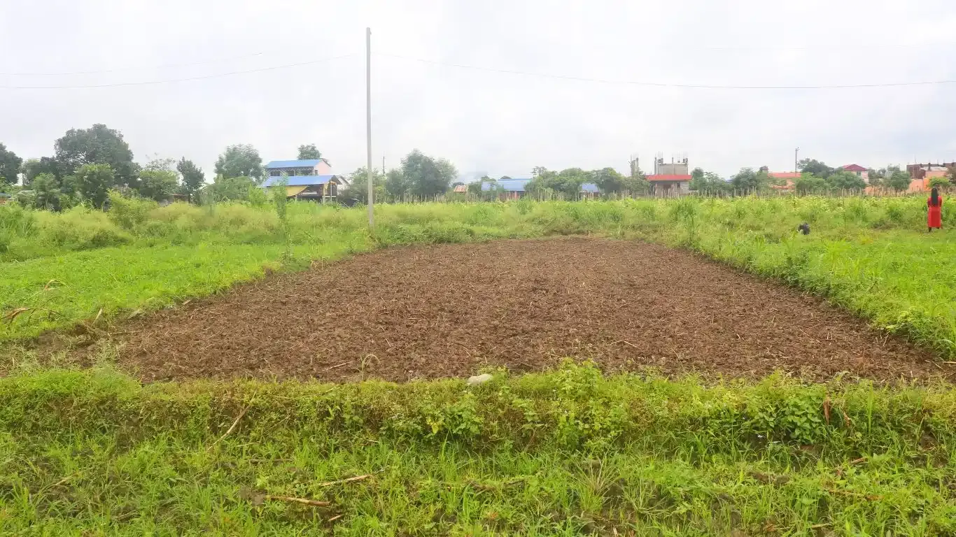 Gorkhali Chowk, Padampur, Ward No. 5, Kalika Municipality, Chitwan, Bagmati Nepal, ,Land,For sale - Properties,9066