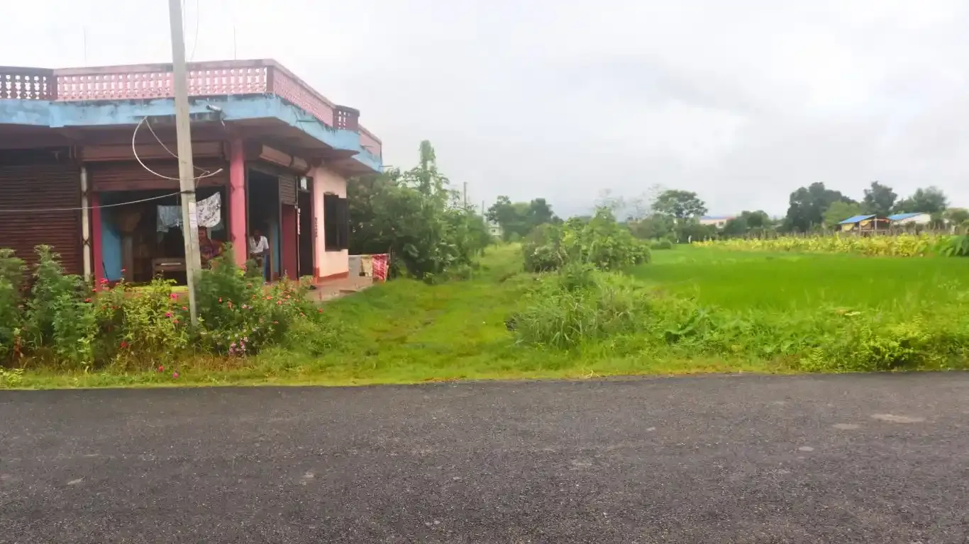 Gorkhali Chowk, Padampur, Ward No. 5, Kalika Municipality, Chitwan, Bagmati Nepal, ,Land,For sale - Properties,9066