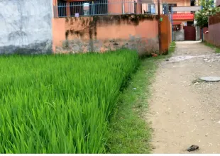 Madi Tole, Balkot, Ward No. 3, Suryabinayak Municipality, Bhaktapur, Bagmati Nepal, ,Land,For sale - Properties,9070