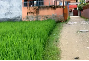 Madi Tole, Balkot, Ward No. 3, Suryabinayak Municipality, Bhaktapur, Bagmati Nepal, ,Land,For sale - Properties,9070