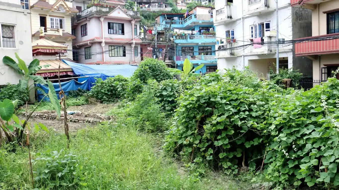 Basundhara, Ward No. 3, Kathmandu Mahanagarpalika, Kathmandu, Bagmati Nepal, ,Land,For sale - Properties,9084