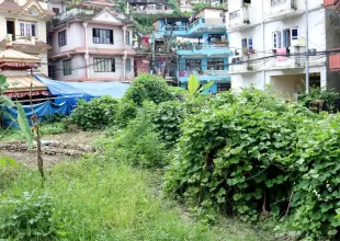 Basundhara, Ward No. 3, Kathmandu Mahanagarpalika, Kathmandu, Bagmati Nepal, ,Land,For sale - Properties,9084