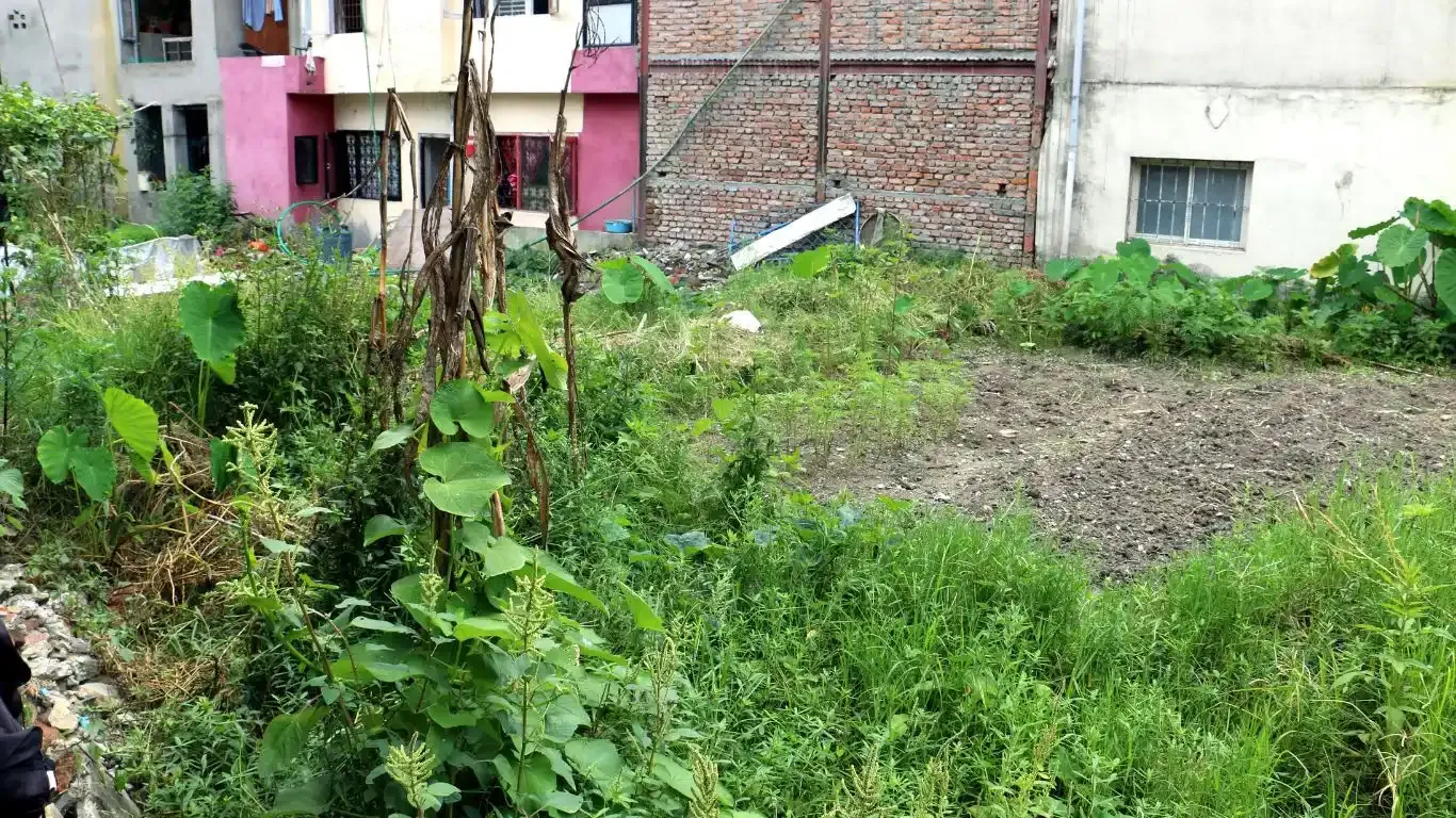 Basundhara, Ward No. 3, Kathmandu Mahanagarpalika, Kathmandu, Bagmati Nepal, ,Land,For sale - Properties,9084