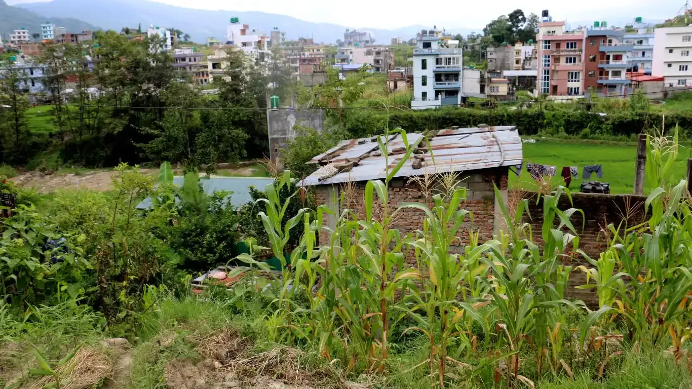 Ward No. 6, Tokha Nagarpalika, Kathmandu, Bagmati Nepal, ,Land,For sale - Properties,9085