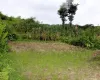 Ward No. 6, Tokha Nagarpalika, Kathmandu, Bagmati Nepal, ,Land,For sale - Properties,9085