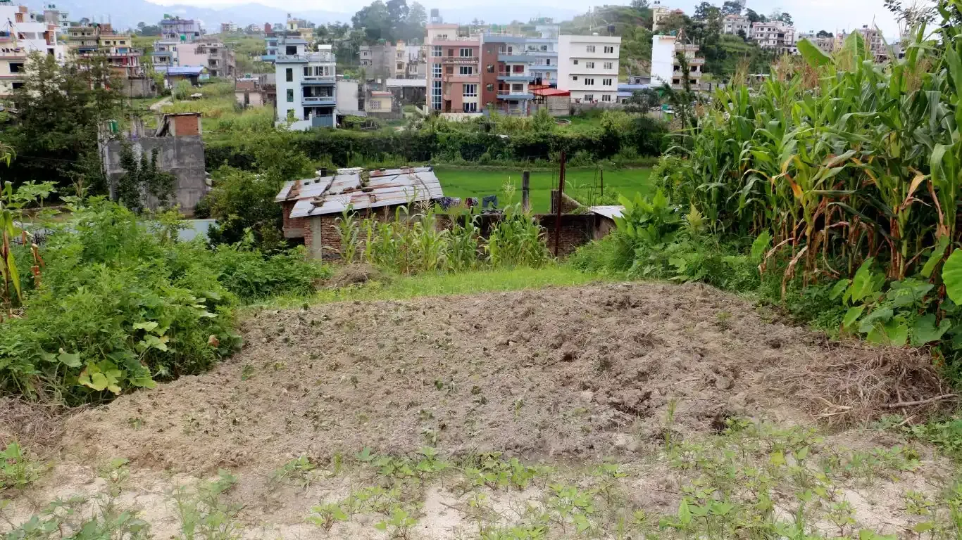 Ward No. 6, Tokha Nagarpalika, Kathmandu, Bagmati Nepal, ,Land,For sale - Properties,9085