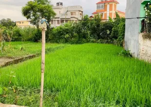 Bhaisepati, Ward No. 25, Lalitpur Metropolitan City, Lalitpur, Bagmati Nepal, ,Land,For sale - Properties,9086