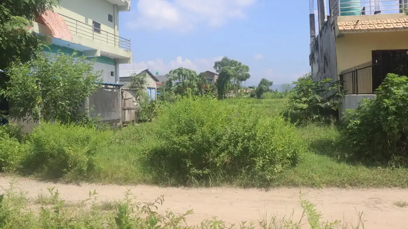 Padampur, Ward No. 5, Kalika Municipality, Chitwan, Bagmati Nepal, ,Land,For sale - Properties,9091