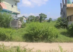 Padampur, Ward No. 5, Kalika Municipality, Chitwan, Bagmati Nepal, ,Land,For sale - Properties,9091