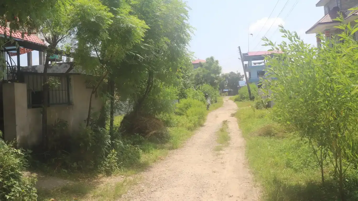 Padampur, Ward No. 5, Kalika Municipality, Chitwan, Bagmati Nepal, ,Land,For sale - Properties,9091