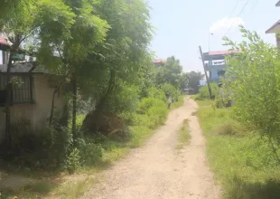 Padampur, Ward No. 5, Kalika Municipality, Chitwan, Bagmati Nepal, ,Land,For sale - Properties,9091