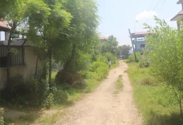 Padampur, Ward No. 5, Kalika Municipality, Chitwan, Bagmati Nepal, ,Land,For sale - Properties,9091