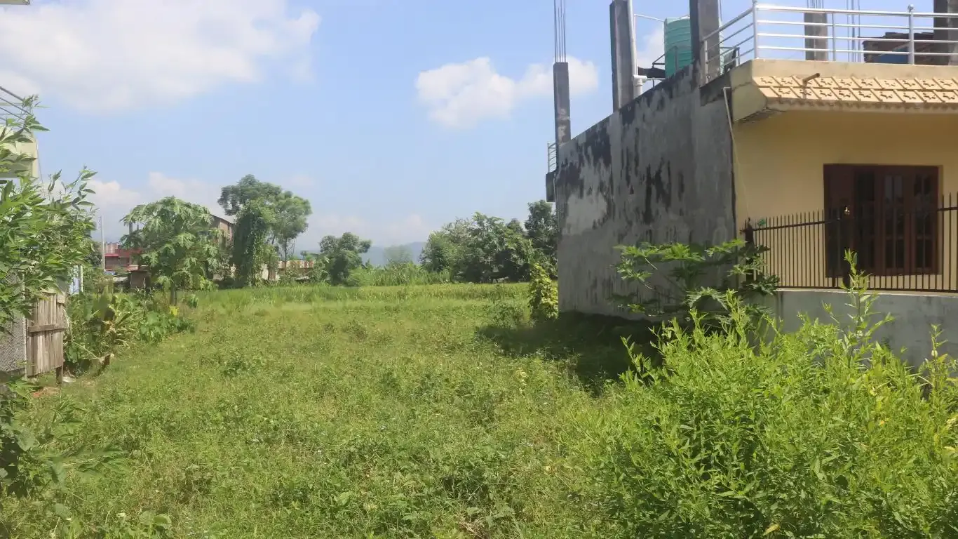 Padampur, Ward No. 5, Kalika Municipality, Chitwan, Bagmati Nepal, ,Land,For sale - Properties,9091