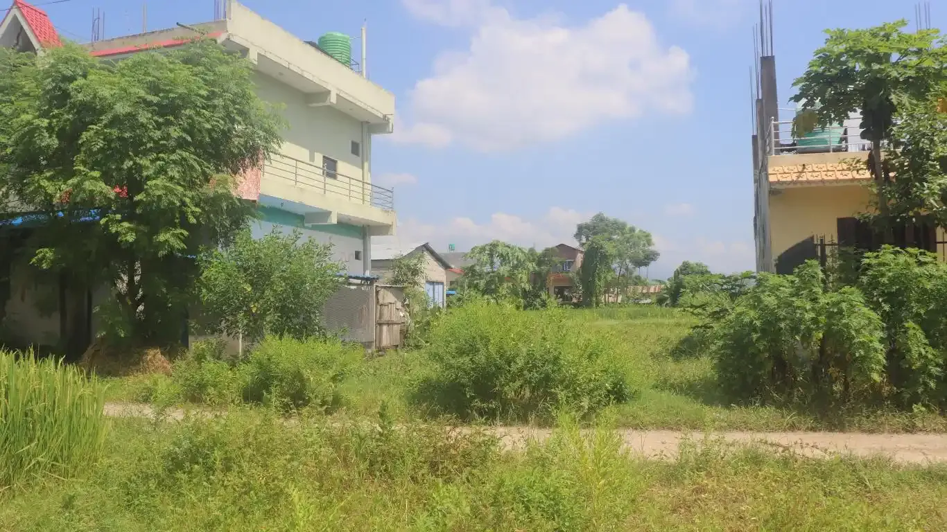 Padampur, Ward No. 5, Kalika Municipality, Chitwan, Bagmati Nepal, ,Land,For sale - Properties,9091