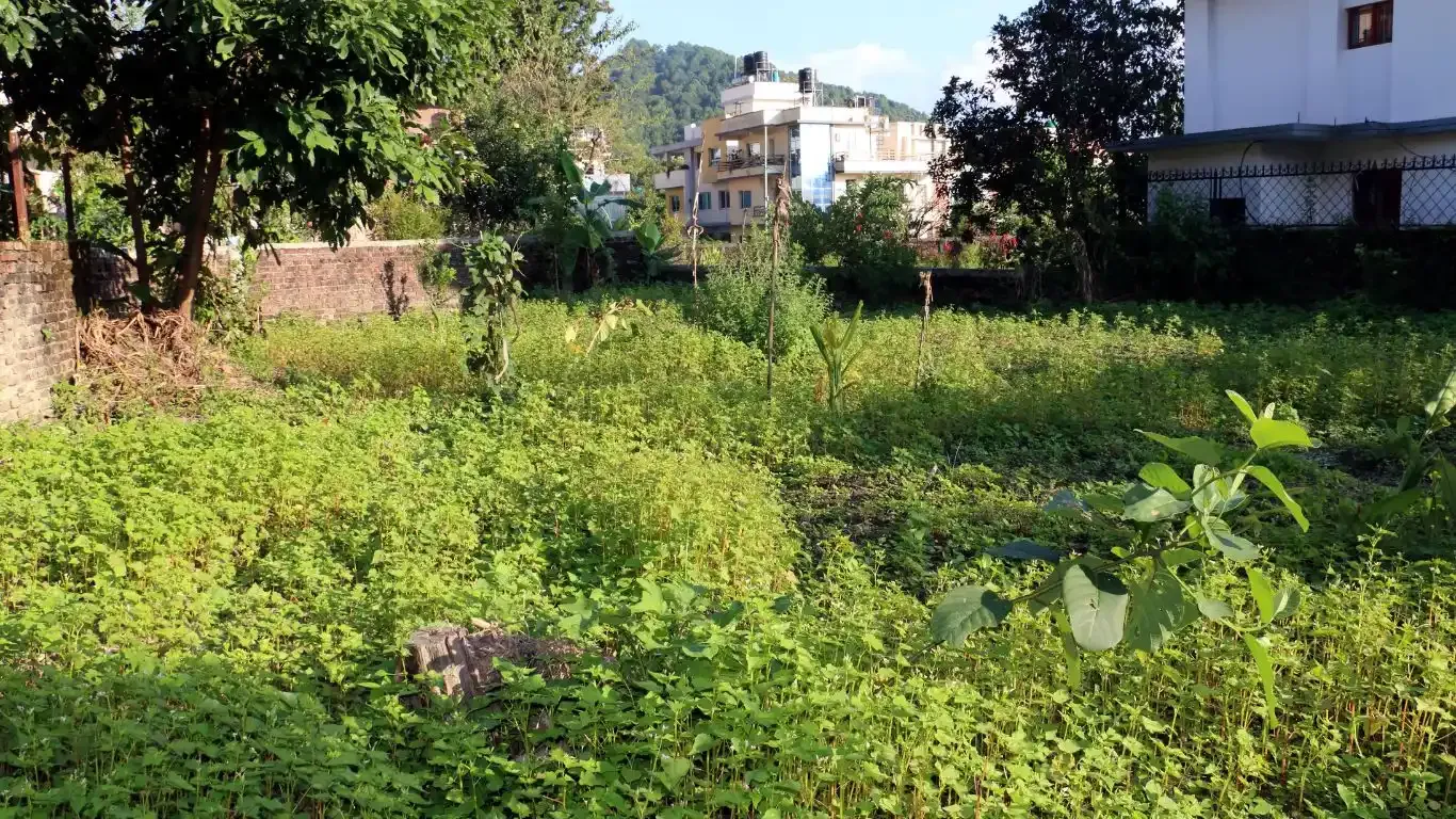 Narayanthan, Ward No.3, Budhanilkantha Nagarpalika, Kathmandu, Bagmati Nepal, ,Land,For sale - Properties,9092