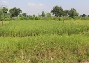 Devnagar, Ward No. 6, Bharatpur Metropolitan City, Chitwan, Bagmati Nepal, ,Land,For sale - Properties,9094