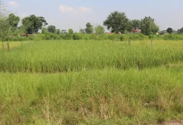 Devnagar, Ward No. 6, Bharatpur Metropolitan City, Chitwan, Bagmati Nepal, ,Land,For sale - Properties,9094