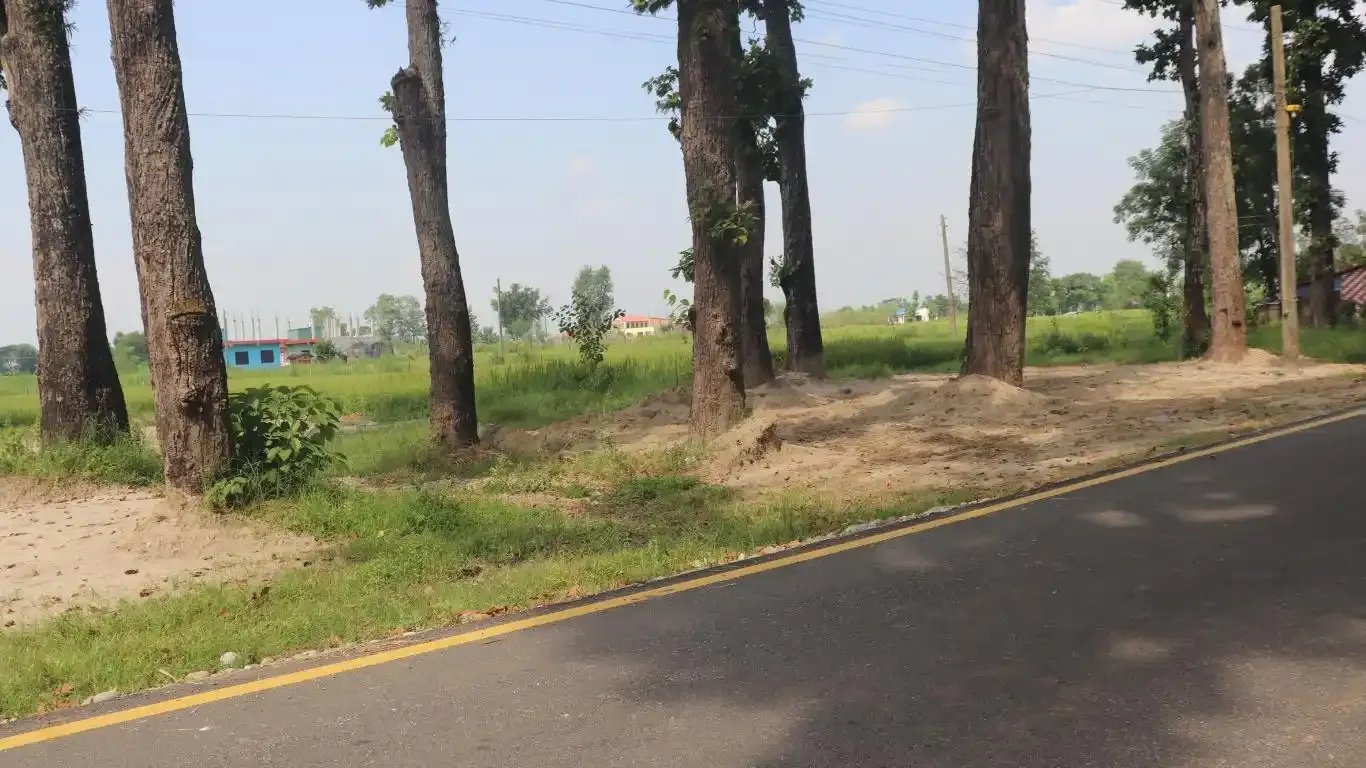 Devnagar, Ward No. 6, Bharatpur Metropolitan City, Chitwan, Bagmati Nepal, ,Land,For sale - Properties,9094