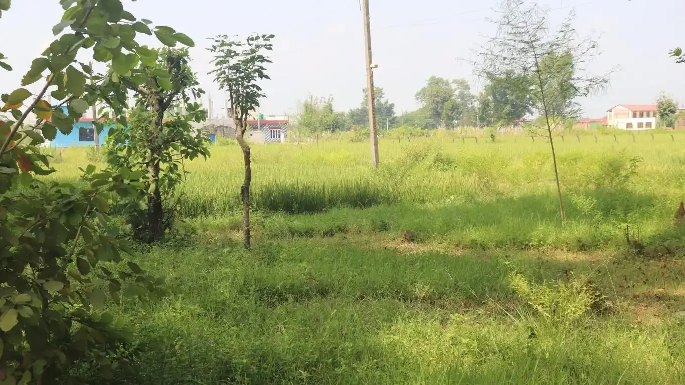 Devnagar, Ward No. 6, Bharatpur Metropolitan City, Chitwan, Bagmati Nepal, ,Land,For sale - Properties,9094