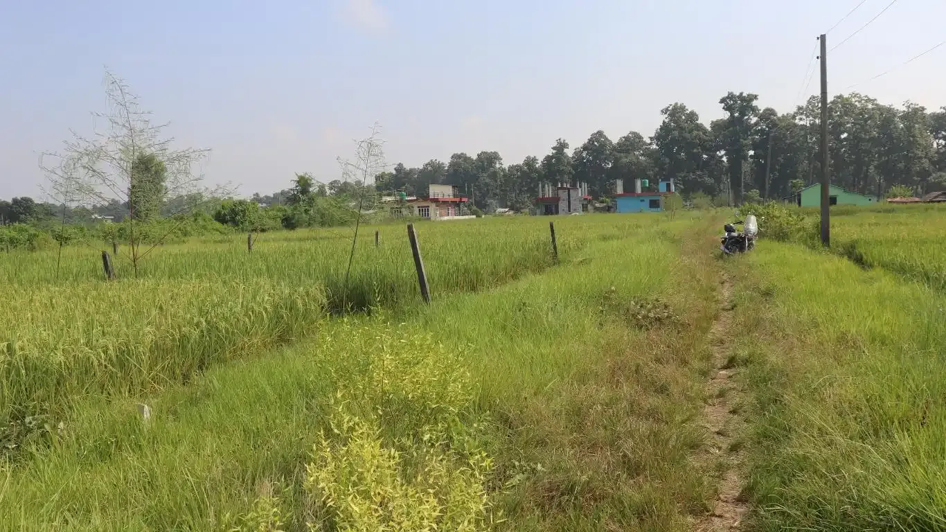 Devnagar, Ward No. 6, Bharatpur Metropolitan City, Chitwan, Bagmati Nepal, ,Land,For sale - Properties,9094